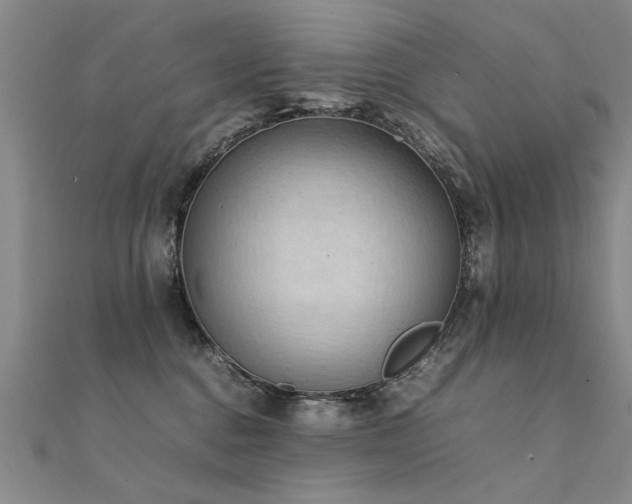 X0000112410376200908141406
