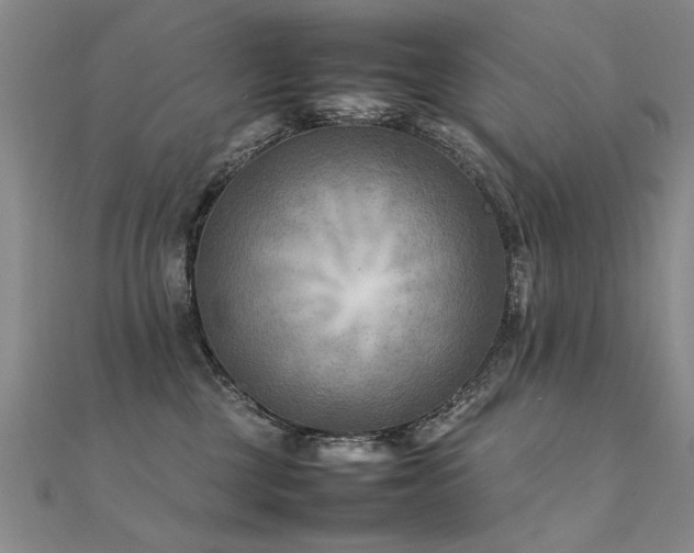 X0000112410377200908141406