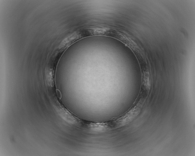 X0000112410378200908141406