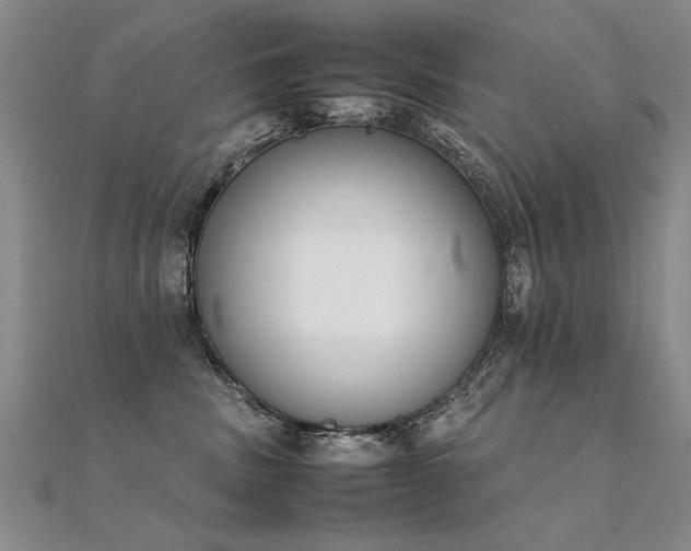 X0000112410379200908141406