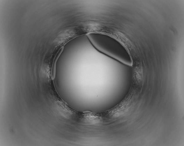 X0000112410380200908141406