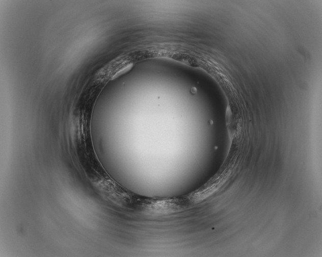 X0000112410382200908141406