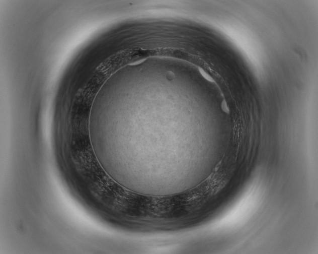 X0000112410383200908141406