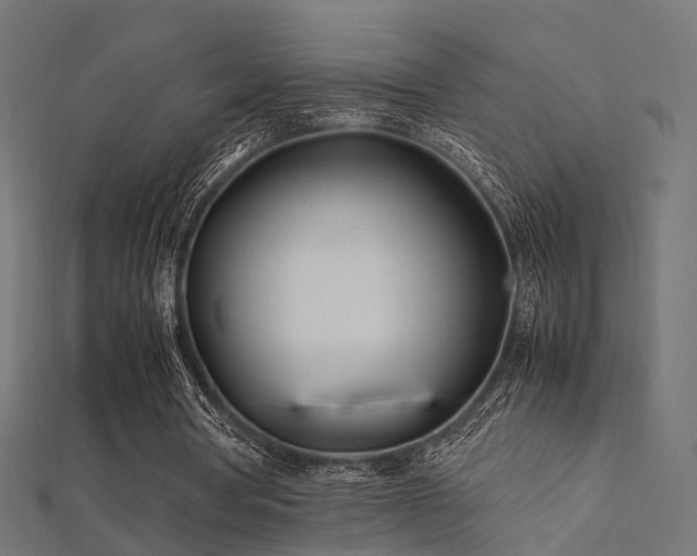X0000112410386200908141405