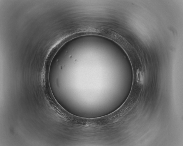 X0000112410388200908141405