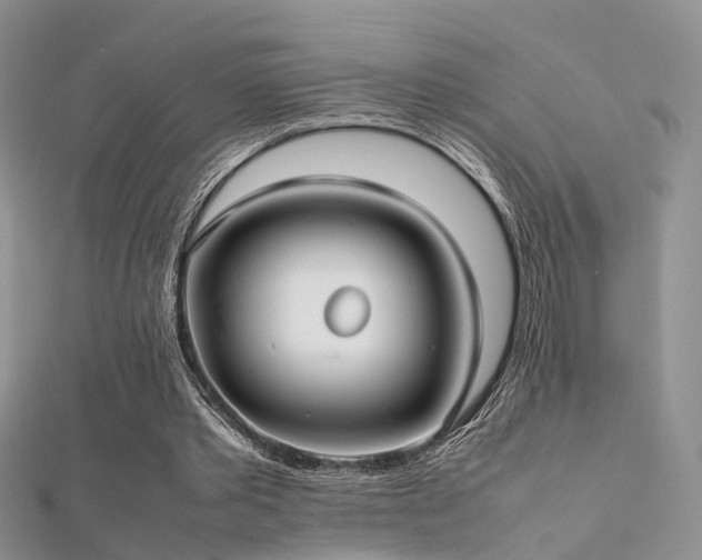 X0000112410389200908141405