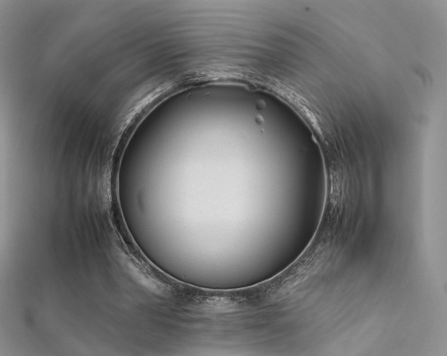 X0000112410390200908141405