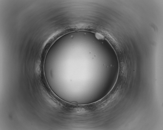 X0000112410392200908141405