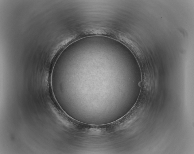 X0000112410394200908141405