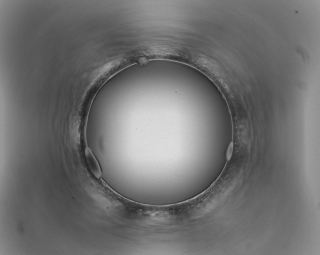 X0000112410395200908141405