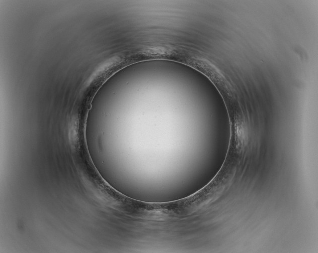 X0000112410396200908141405