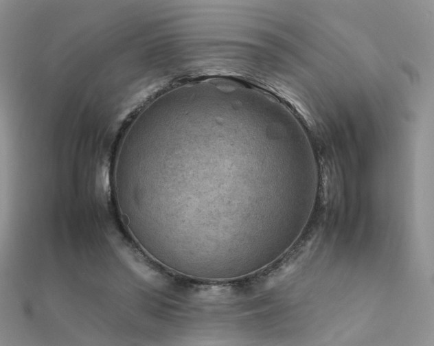 X0000112410398200908141405
