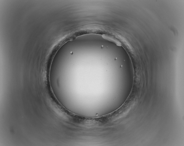 X0000112410399200908141405