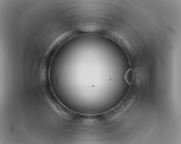 X0000112410400200908141405