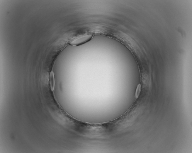 X0000112410401200908141405