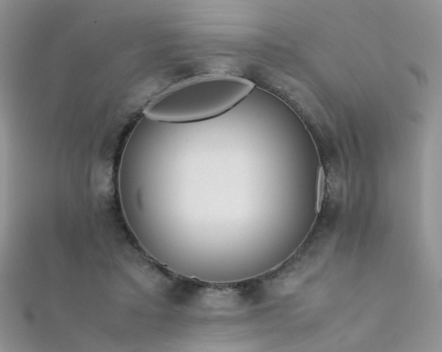 X0000112410403200908141405