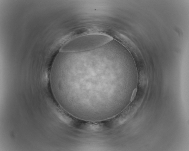 X0000112410405200908141405