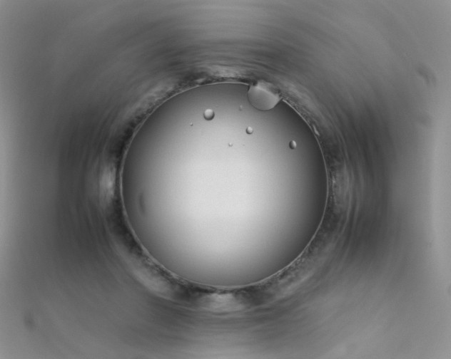 X0000112410406200908141405