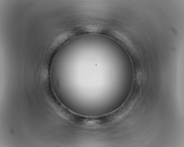 X0000112410407200908141405