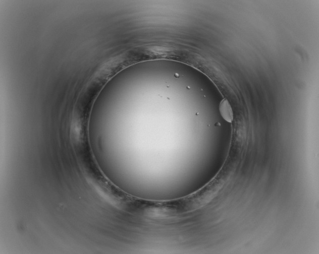 X0000112410408200908141405