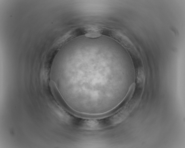 X0000112410409200908141405