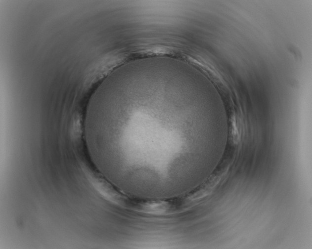 X0000112410410200908141405