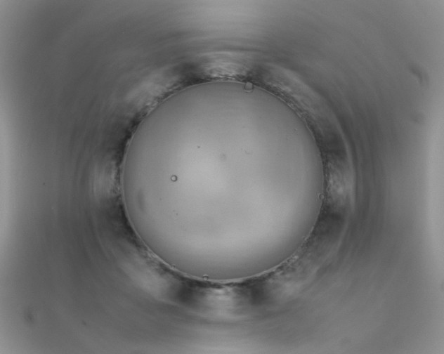 X0000112410411200908141405
