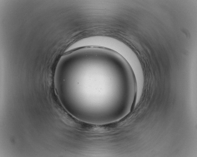 X0000112410413200908141405