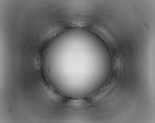 X0000112410414200908141405