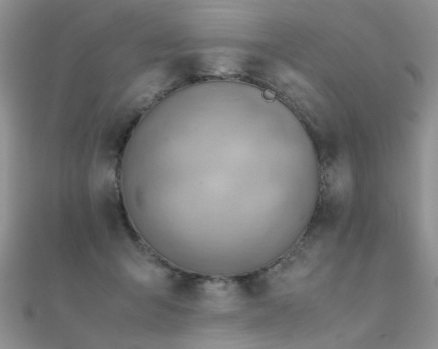 X0000112410415200908141405