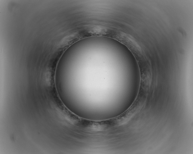 X0000112410416200908141405