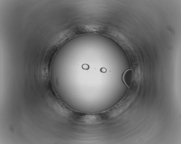 X0000112410418200908141405