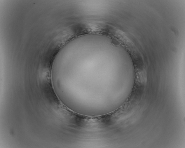 X0000112410419200908141405