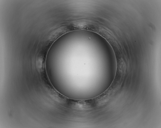 X0000112410420200908141405