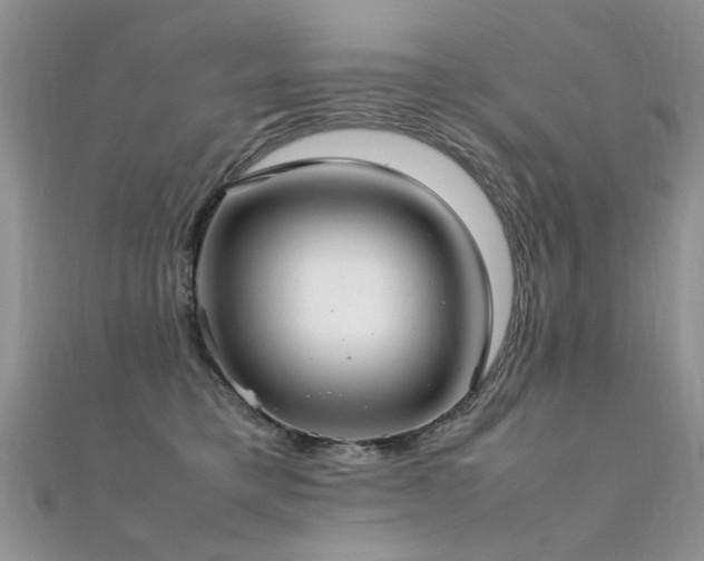 X0000112410421200908141405