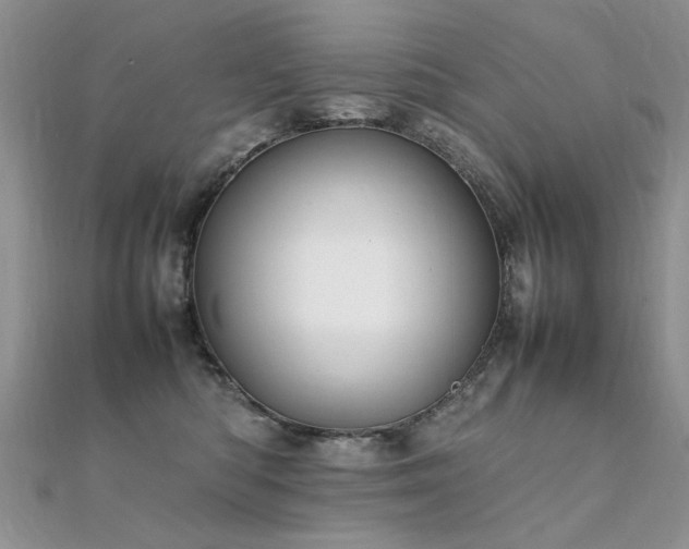 X0000112410422200908141405