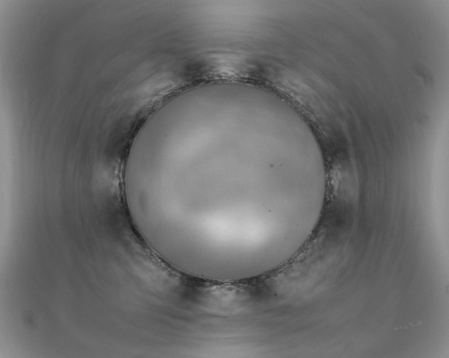 X0000112410423200908141405