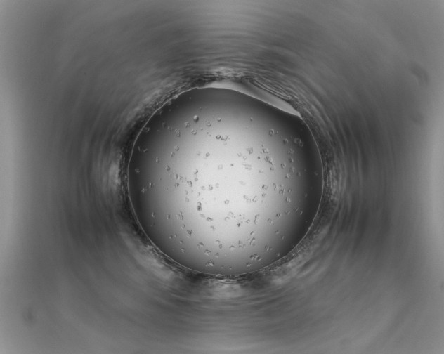 X0000112410424200908141405