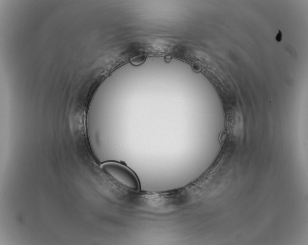 X0000112410425200908141405