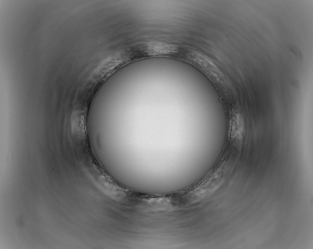 X0000112410426200908141405