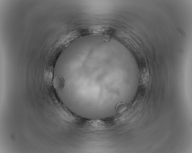 X0000112410427200908141405