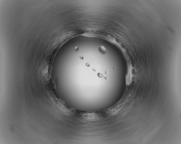 X0000112410428200908141405