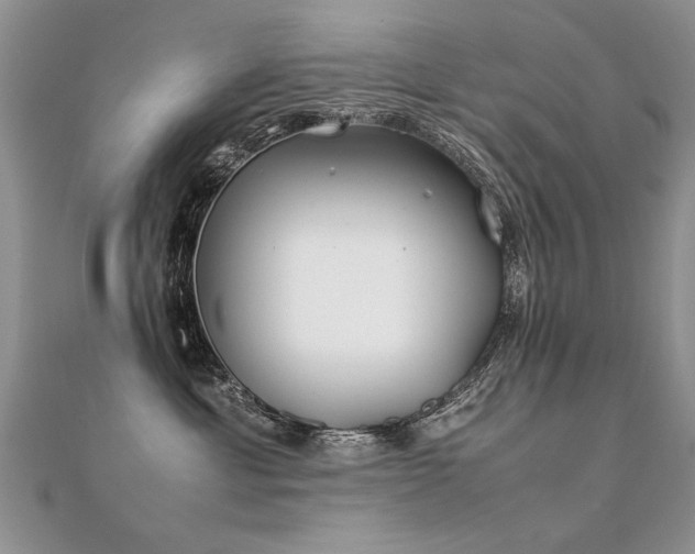 X0000112410429200908141405