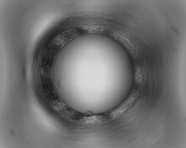 X0000112410430200908141405