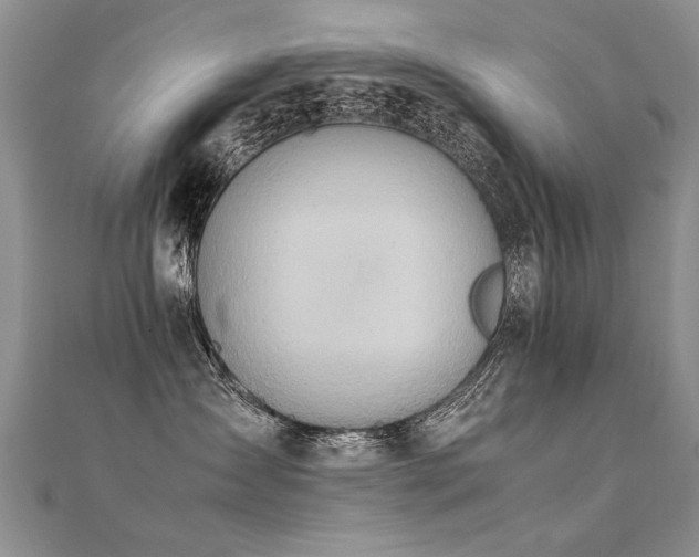 X0000112410431200908141405
