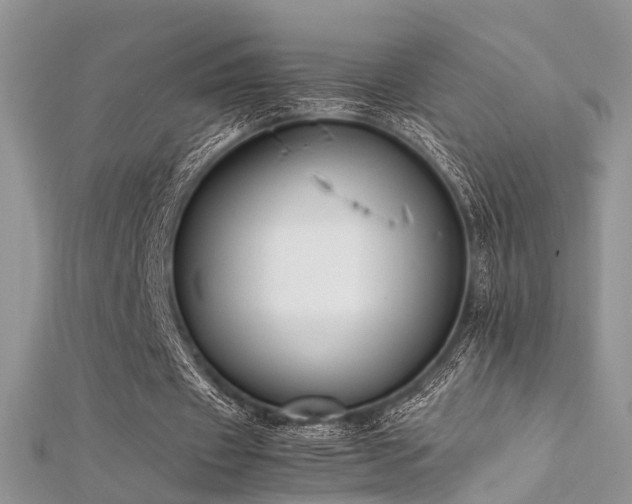 X0000112410433200908141404