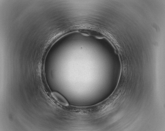 X0000112410434200908141404