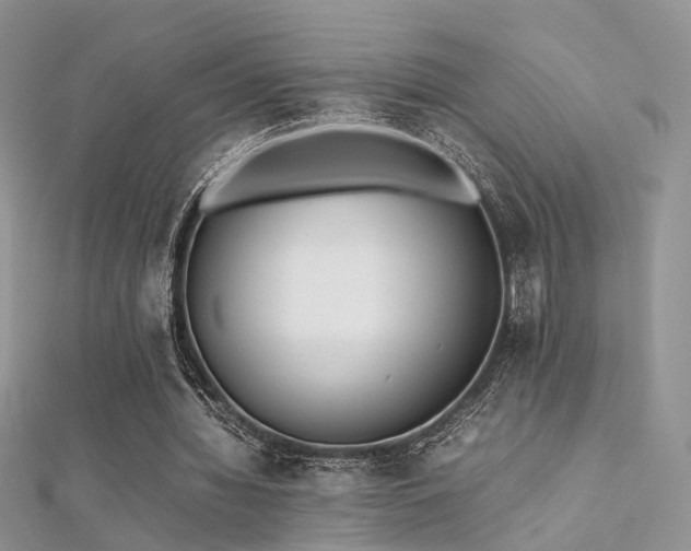 X0000112410436200908141404