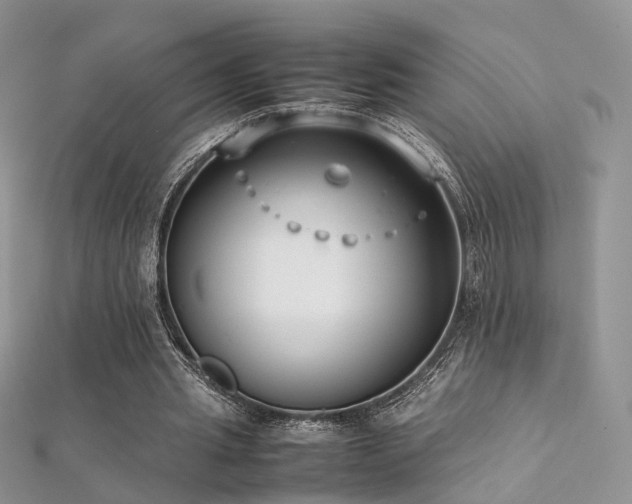 X0000112410437200908141404