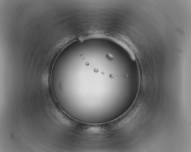 X0000112410441200908141404
